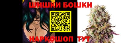 jwh Камышлов